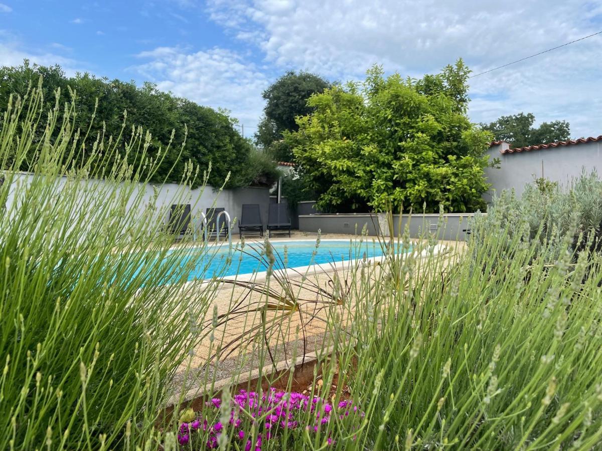 Villa Elisa Kaštelir Exteriör bild
